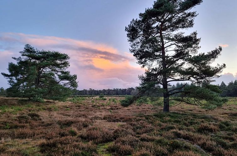 Vakantiehuisje in Oude Willem