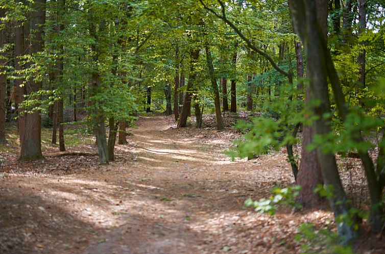 Huisje in Oude Willem
