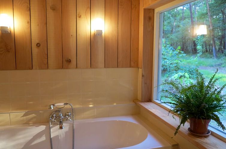 Huisje in Oude Willem