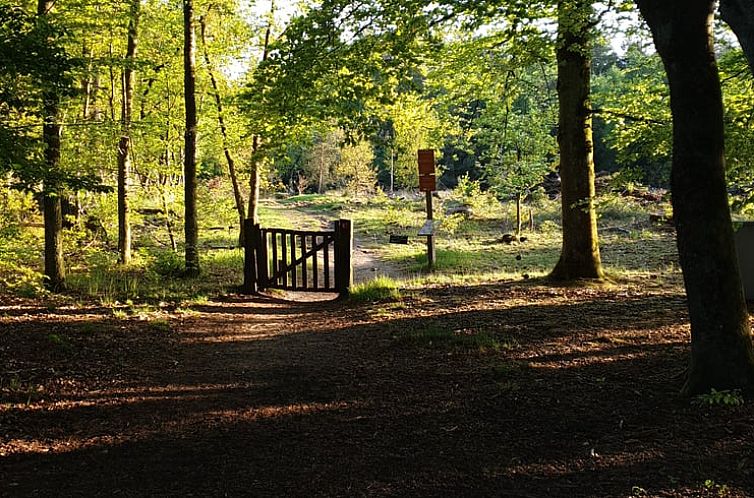Vakantiehuisje in Oude Willem