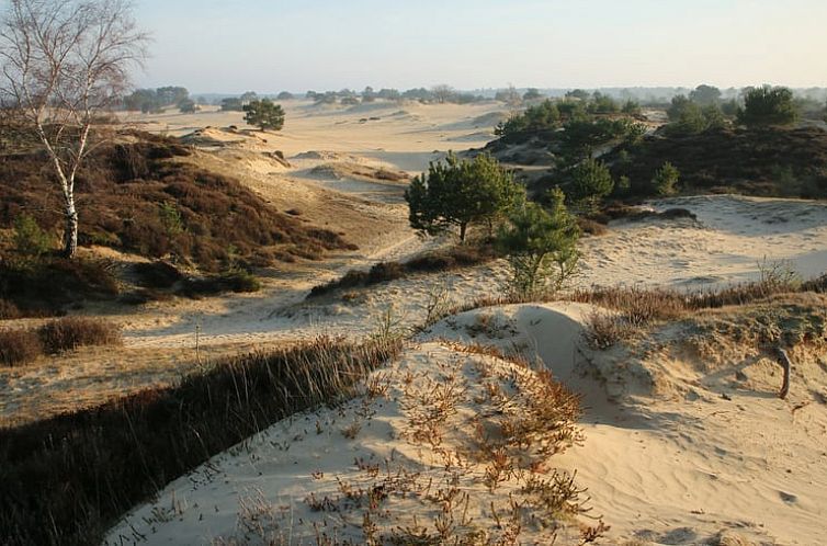 Vakantiehuisje in Oude Willem