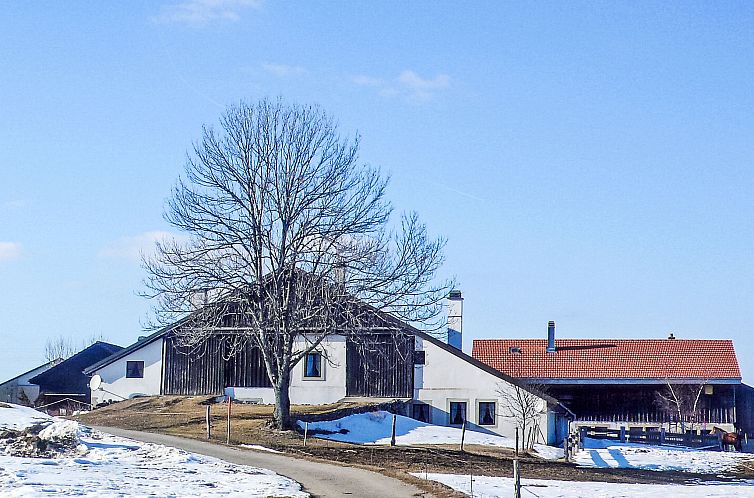 Appartement Les Grangettes