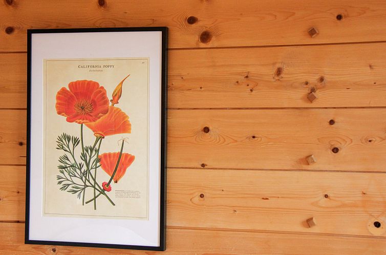 Appartement Le Bristol B36