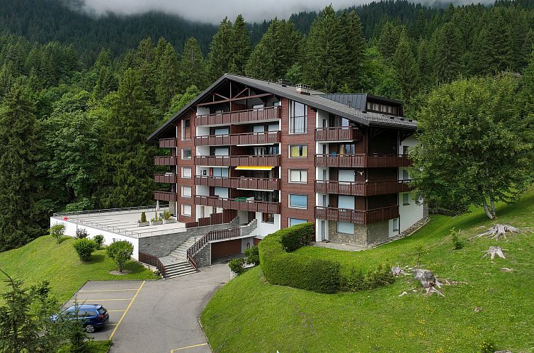 Unterkunft 20405138 - Appartement Waadtländer Alpen - Appartement Schuss 23