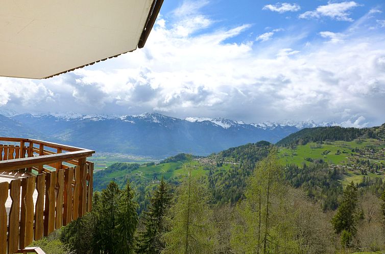 Appartement Le Bristol A54