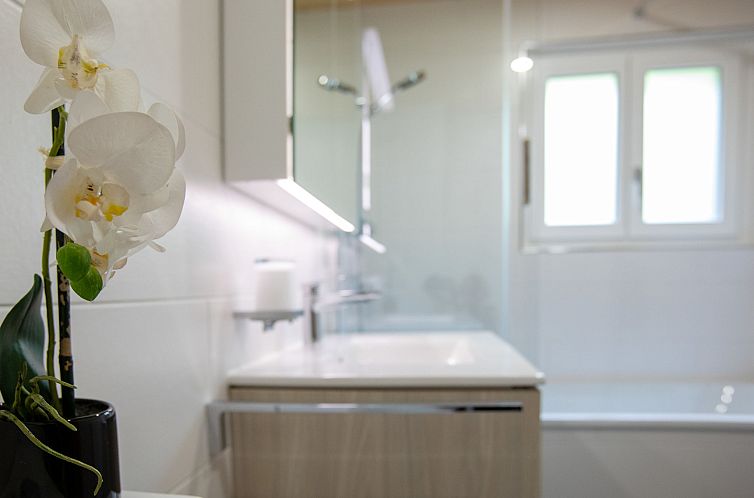 Appartement Chantebrise A1