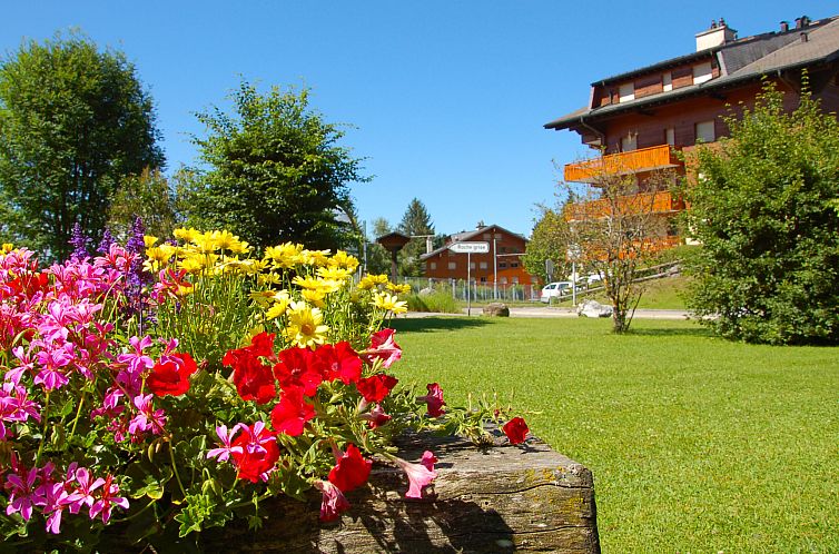 Appartement Diamant 6