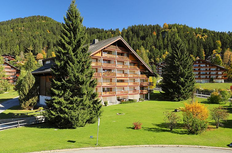 Appartement Diamant 6