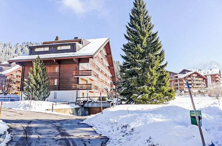 Appartement Diamant 6