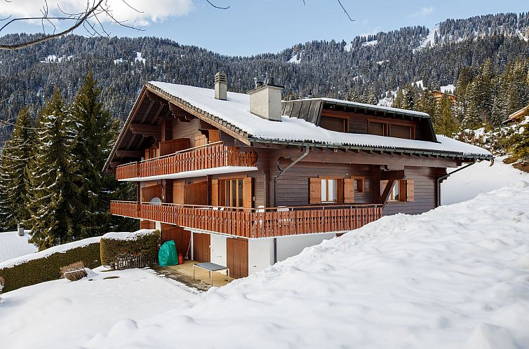 Appartement Le Bouquetin 1