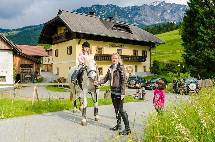 Unterkunft 20411404 - Appartement Kärnten - Schönauerhof