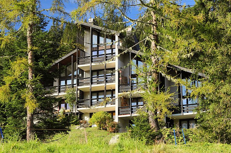 Unterkunft 2041501 - Appartement Waadtländer Alpen - Appartement Les Beluardes Bl. 151/2