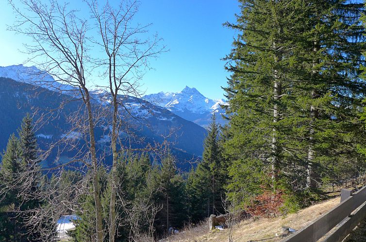 Appartement Les Arsets 01/203