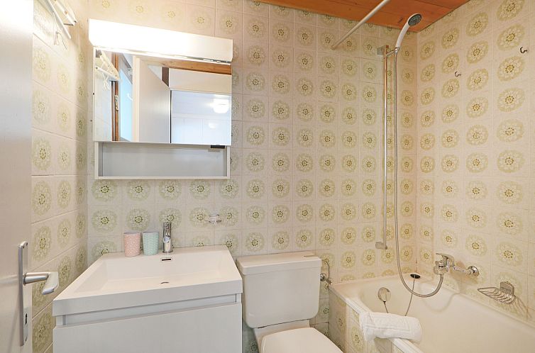 Appartement Les Petites Maraîches 132/389