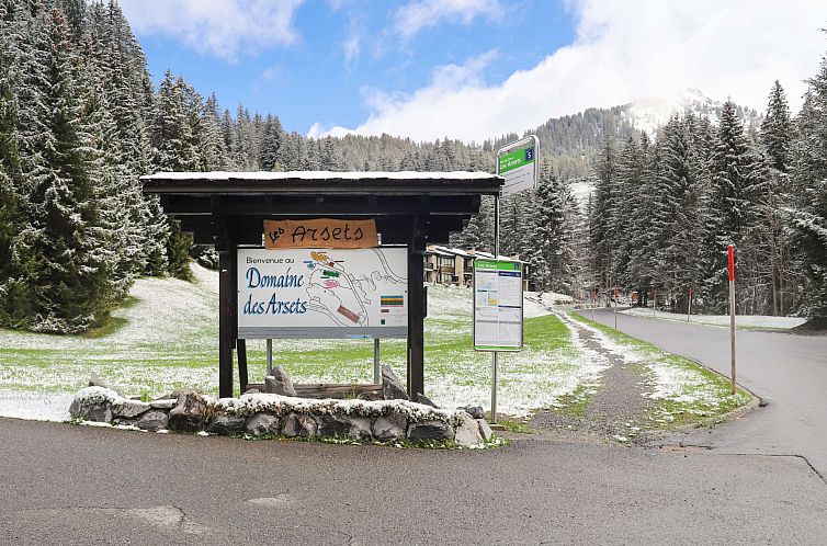 Appartement Les Arsets 301/11