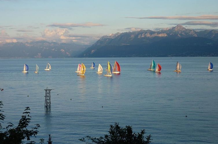 Appartement Chalet am See in St-Prex