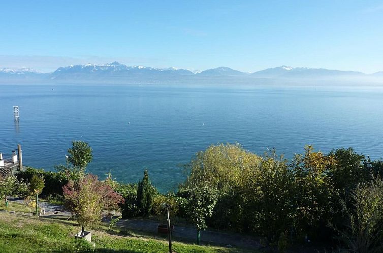 Appartement Chalet am See in St-Prex