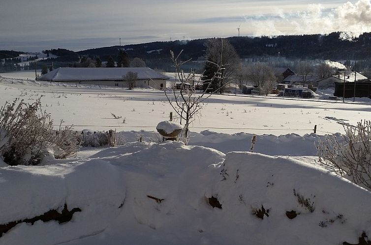 Appartement Appartement - Bellevue