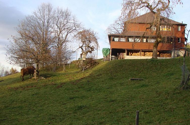 Vakantiehuis Wilerbädli