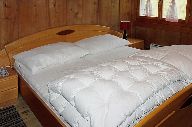 Vakantiehuis Wilerbädli