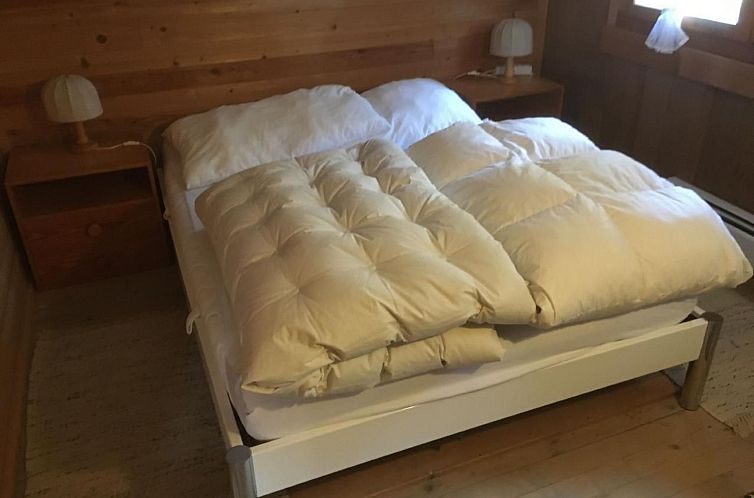 Vakantiehuis Wilerbädli