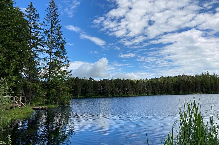 Appartement Maison de vacances - LM