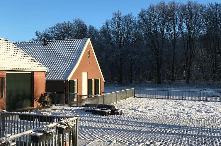 Huisje in Nieuwlande