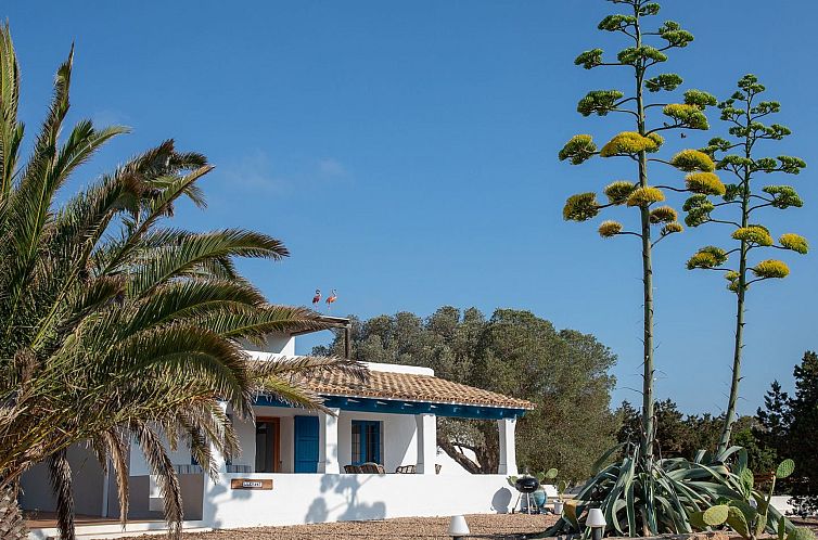Unterkunft 20510702 - Ferienhaus Ibiza - Vakantiehuis Casa Llevant 4 pax