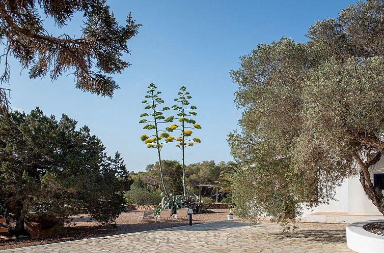 Vakantiehuis Casa Llevant 4 pax