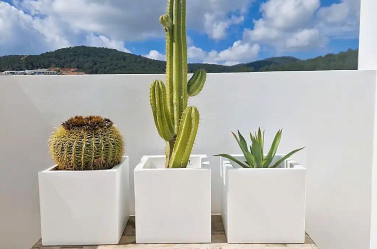 Pura Ibiza