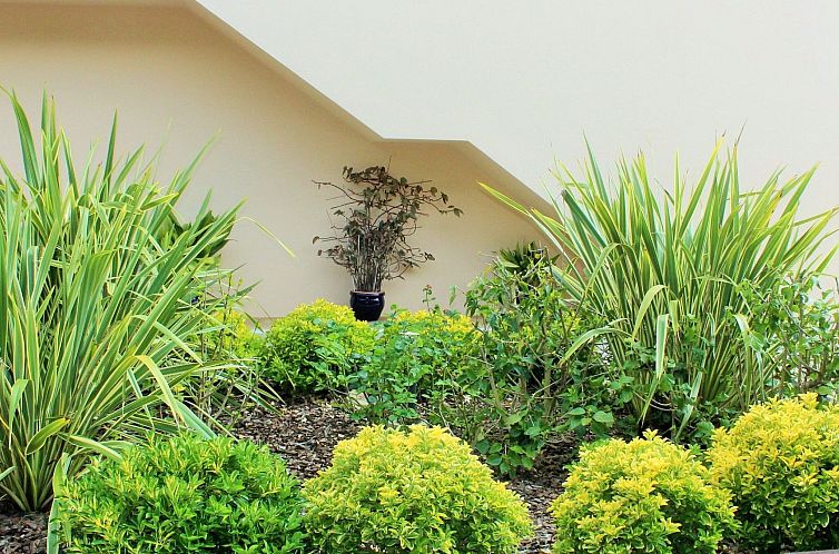 Vakantiehuis Villa Can Toni mit Schwimmbad