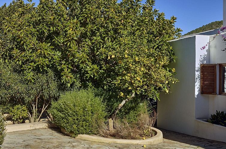 Vakantiehuis Can Managua