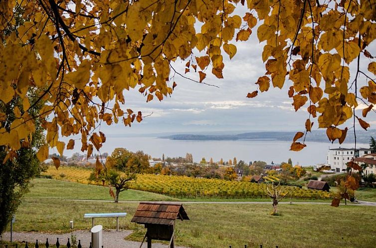 Guest house 20702010 - Apartment Baden-Württemberg - Parkhotel St.Leonhard