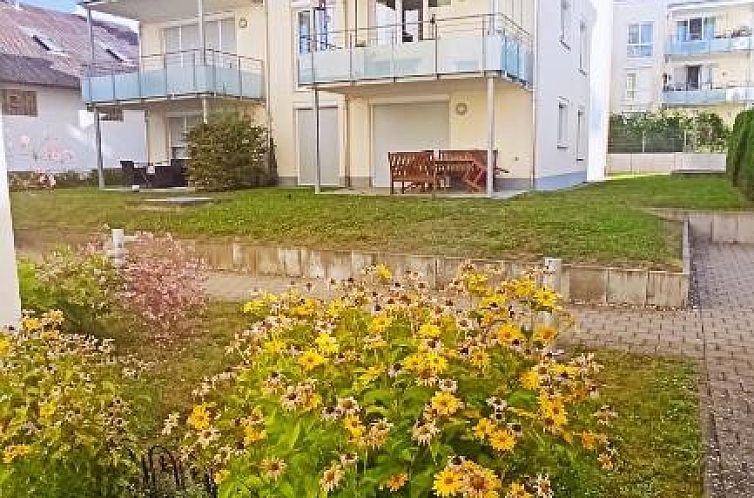 Guest house 20702016 - Apartment Baden-Württemberg - Deluxe Apartment