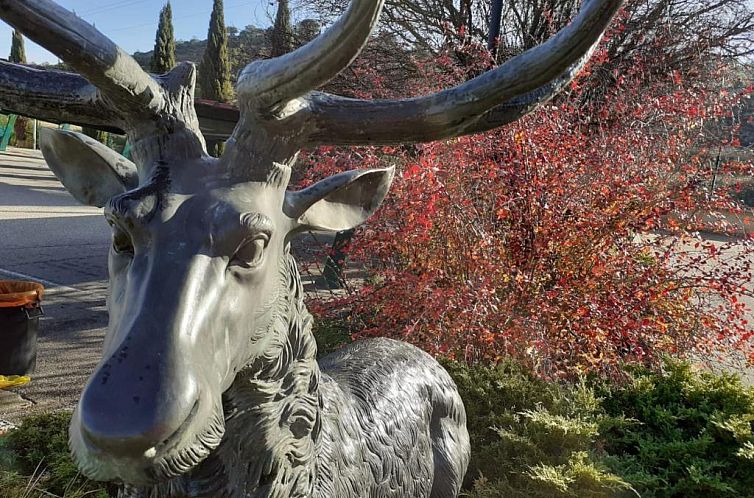 Hotel Milagros Rio Riaza