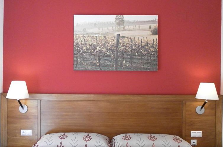 Hotel Milagros Rio Riaza