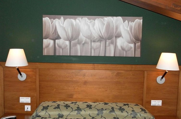 Hotel Milagros Rio Riaza