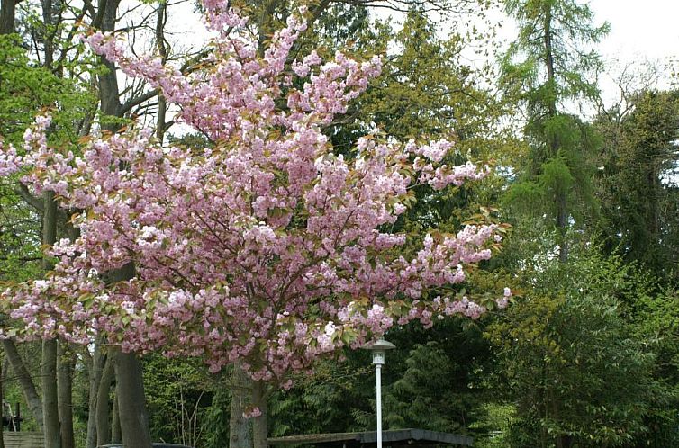 Hotel Strandpavillon
