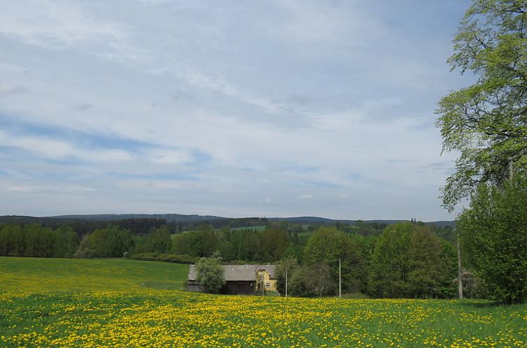 Vakantiehuis in Tachov