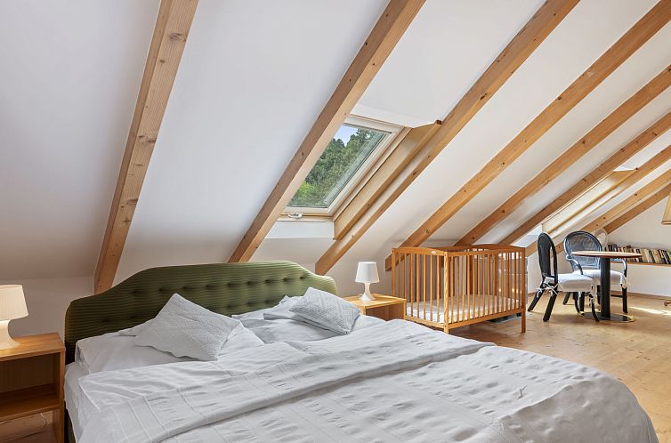 Vakantiehuis Parkany 1
