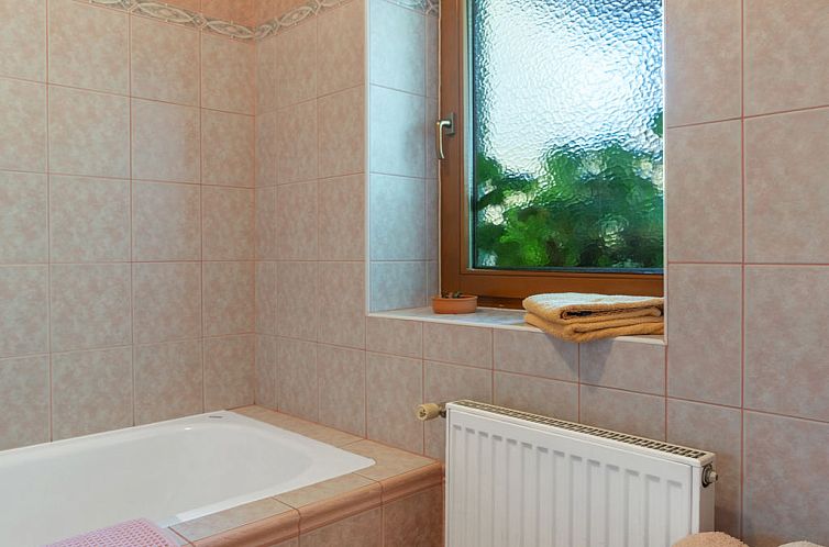 Vakantiehuis Kralovice