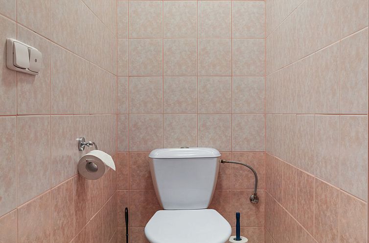 Vakantiehuis Kralovice