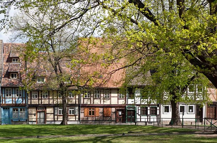 Hotel Waldoase Hirschbüchenkopf