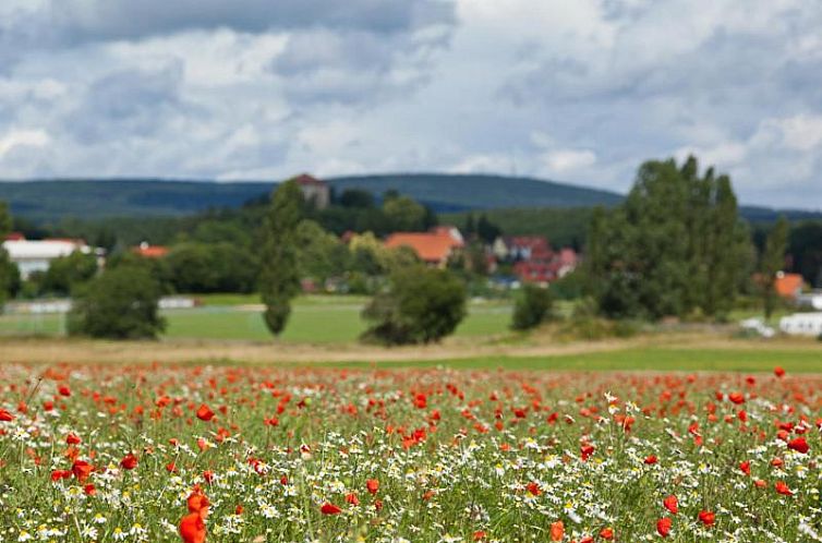 Hotel Waldoase Hirschbüchenkopf