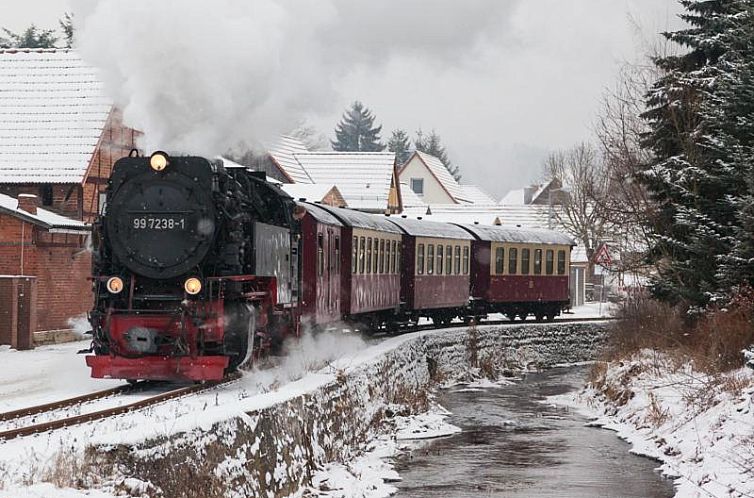 Hotel Waldoase Hirschbüchenkopf
