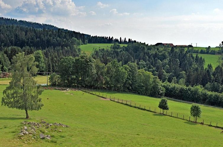 Cushy Apartment with Jacuzzi, Sauna, Solarium, BBQ, Balcony