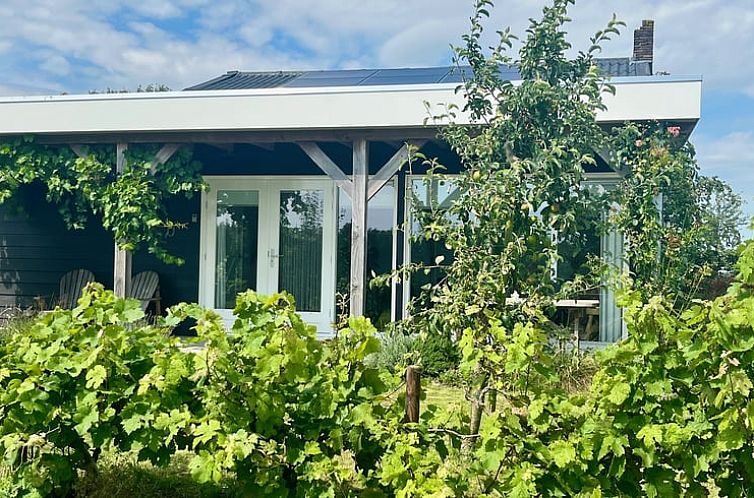 Vakantiehuis in Kraggenburg