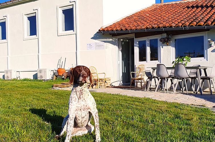 Vakantiehuisje in Monforte de Lemos