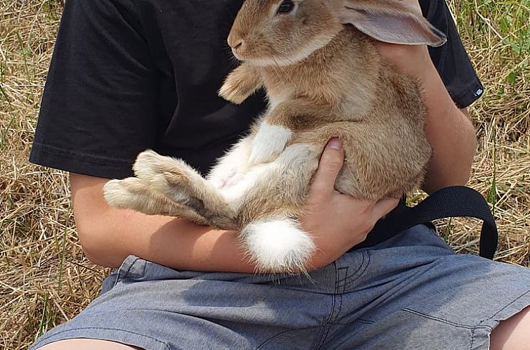 Vakantiehuisje in Monforte de Lemos