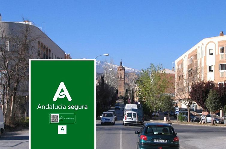 Hotel Mulhacen